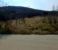 Снимка 2 — Парцел в Перник, Калкас
