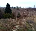 Снимка 4 — Парцел във Варна, Провадия