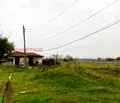 Снимка 5 — Парцел в Пловдив, Първомай