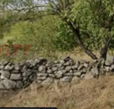 Photo 2 — Plot in Oblast Varna, Avren