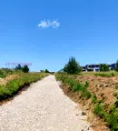 Парцел в с. Бистрица