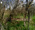 Снимка 3 — Парцел в Добрич, с. Богдан
