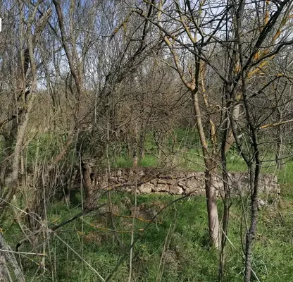 Снимка 3 — Парцел в Добрич, с. Богдан