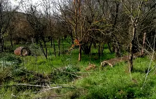 Парцел в Добрич, с. Богдан