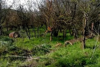 Парцел в Добрич, с. Богдан