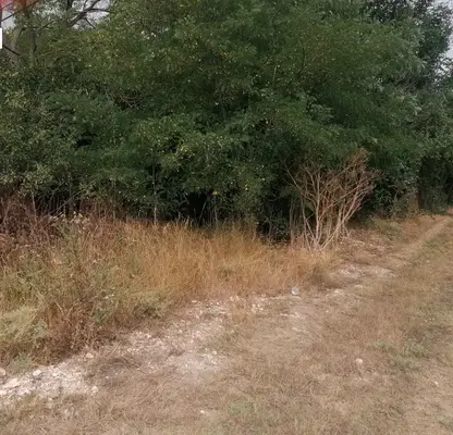 Photo 2 — Plot in Oblast Dobrich, Bogdan