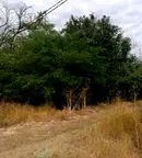 Парцел в Добрич, с. Богдан