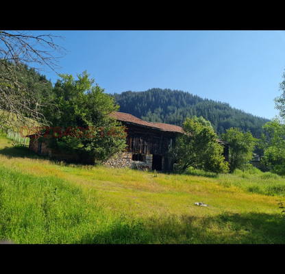 Photo 3 — Plot in Oblast Smolyan, Borino