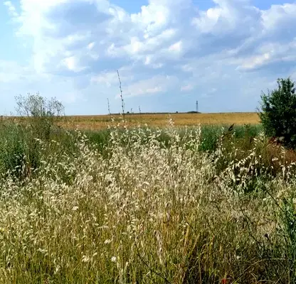 Photo 4 — Plot in Plovdiv, Byala Reka