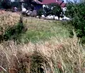 Снимка 2 — Парцел в Перник, с. Драгичево