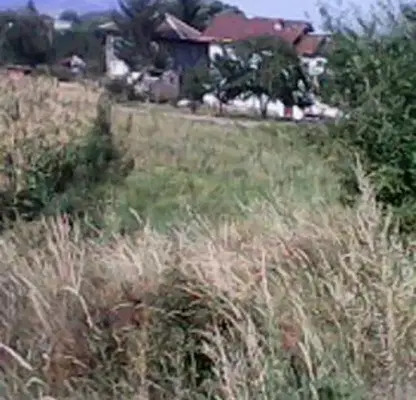 Снимка 2 — Парцел в Перник, с. Драгичево