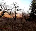 Снимка 5 — Парцел в с. Герман
