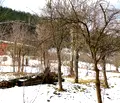 Снимка 5 — Парцел в Ловеч, с. Голям извор