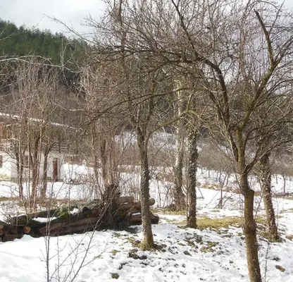 Photo 5 — Plot in Oblast Lovech, Golyam Izvor
