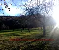 Снимка 2 — Парцел в Ловеч, с. Голяма Желязна