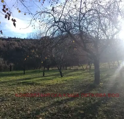 Photo 2 — Plot in Oblast Lovech, Golyama Jelyazna