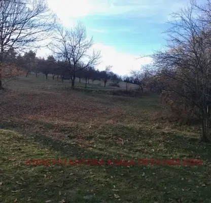 Photo 5 — Plot in Oblast Lovech, Golyama Jelyazna
