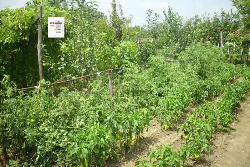 Plot in Oblast Dobrich, Gradini