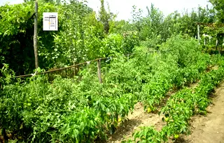 Парцел в Добрич, с. Градини