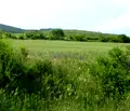 Снимка 2 — Парцел в Стара Загора, с. Хрищени