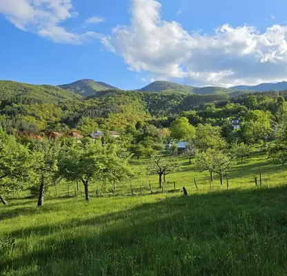 Photo 4 — Plot in Oblast Kyustendil, Jilenci