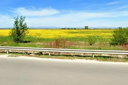 Plot in Oblast Plovdiv, Kostievo