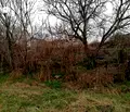 Снимка 2 — Парцел в Добрич, с. Кранево
