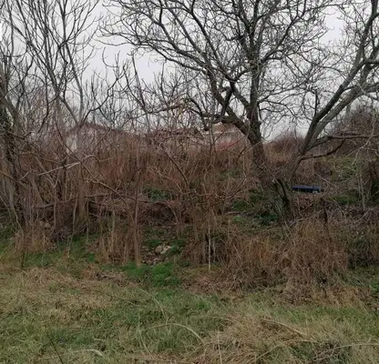 Photo 2 — Plot in Oblast Dobrich, Kranevo