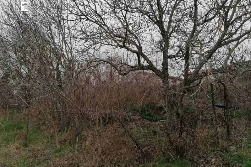 Plot in Oblast Dobrich, Kranevo