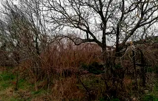 Парцел в Добрич, с. Кранево