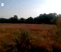Снимка 3 — Парцел във Варна, с. Левски