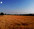 Снимка 4 — Парцел във Варна, с. Левски