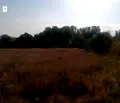 Снимка 5 — Парцел във Варна, с. Левски