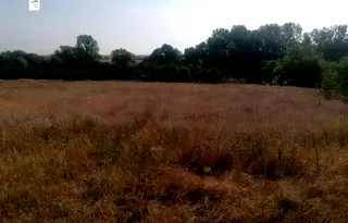 Парцел във Варна, с. Левски