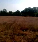 Парцел във Варна, с. Левски