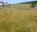 Снимка 4 — Парцел във Варна, с. Николаевка