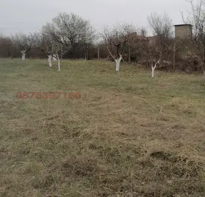 Снимка 3 — Парцел в Русе, с. Николово