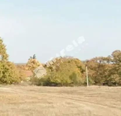 Снимка 4 — Парцел във Варна, с. Новаково