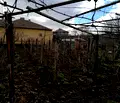 Снимка 2 — Парцел в Добрич, с. Оброчище