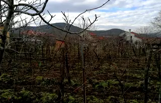 Парцел в Добрич, с. Оброчище