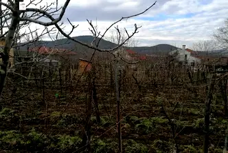 Парцел в Добрич, с. Оброчище