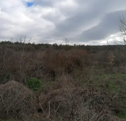 Photo 2 — Plot in Oblast Dobrich, Obrochishte