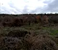 Снимка 5 — Парцел в Добрич, с. Оброчище