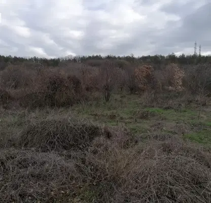 Photo 5 — Plot in Oblast Dobrich, Obrochishte