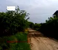 Снимка 3 — Парцел във Варна, с. Осеново