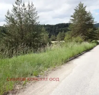 Photo 5 — Plot in Plana