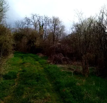 Photo 4 — Plot in Oblast Pernik, Pocyrnenci