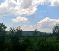 Снимка 3 — Парцел в Добрич, с. Прилеп