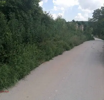 Снимка 5 — Парцел в Добрич, с. Прилеп