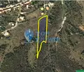 Снимка 5 — Парцел във Велико Търново, с. Пушево
